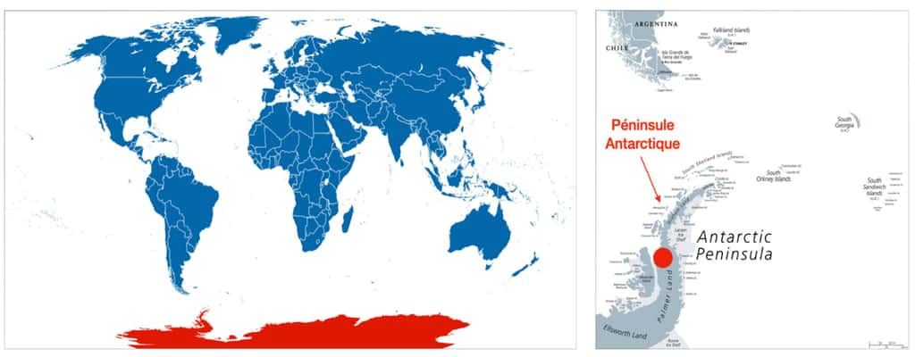 Carte du monde et carte péninsule Antarctique © Peter Hermes Furian, Adobe stock